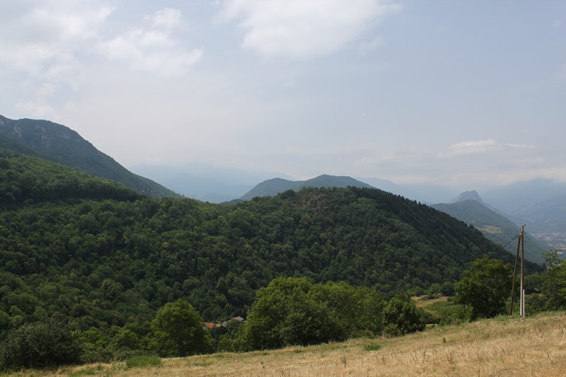 IMG_0774.jpg
