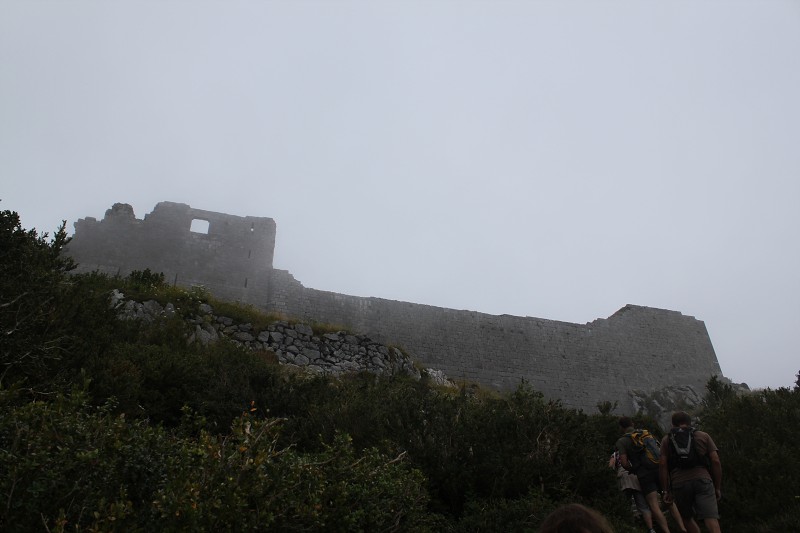 IMG_0796.jpg
