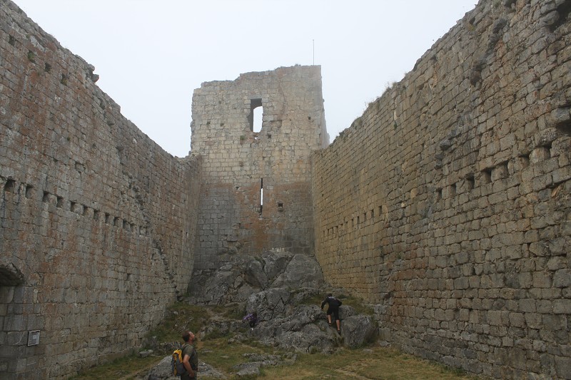 IMG_0800.jpg