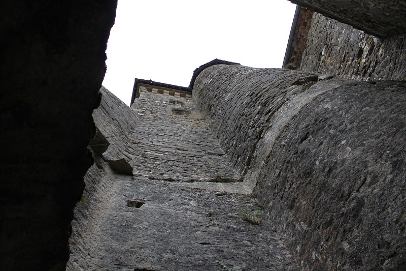IMG_0875.jpg