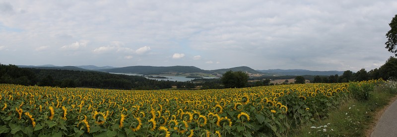 IMG_0884_panorama.jpg
