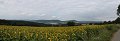 thn_IMG_0884_panorama.jpg