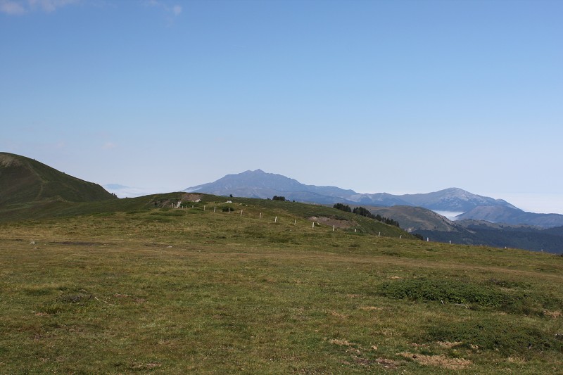 IMG_0938.jpg