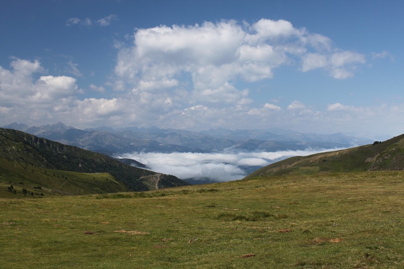 IMG_0944.jpg