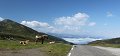 thn_IMG_0916-2.jpg