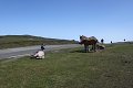thn_IMG_0963.jpg
