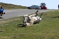 thn_IMG_0964.jpg