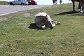 thn_IMG_0966.jpg