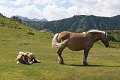 thn_IMG_0970.jpg