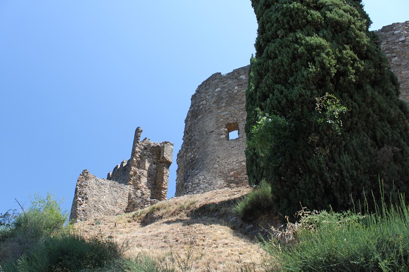 IMG_1064.jpg