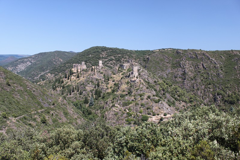 IMG_1067.jpg