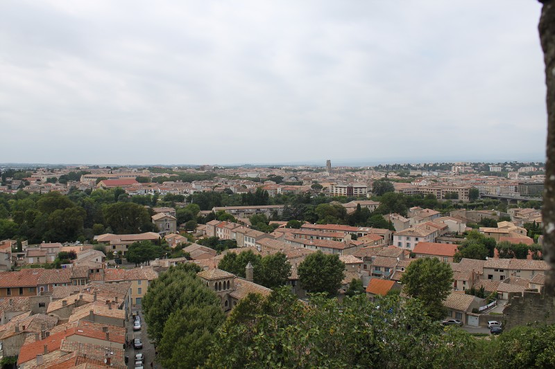 IMG_1150.jpg