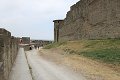 thn_IMG_1161.jpg