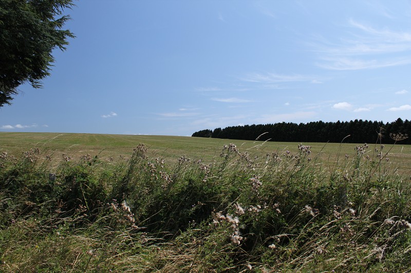 IMG_1270.jpg
