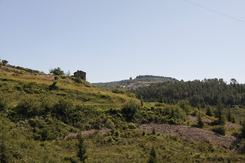 IMG_1200.jpg