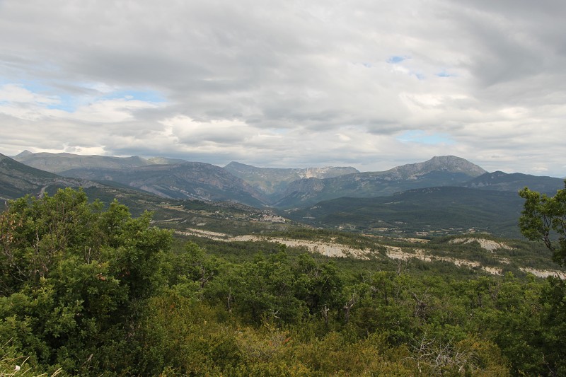 IMG_1255.jpg