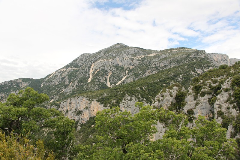 IMG_1257.jpg