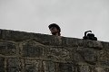 thn_IMG_1288.jpg