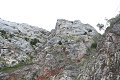 thn_IMG_1310.jpg