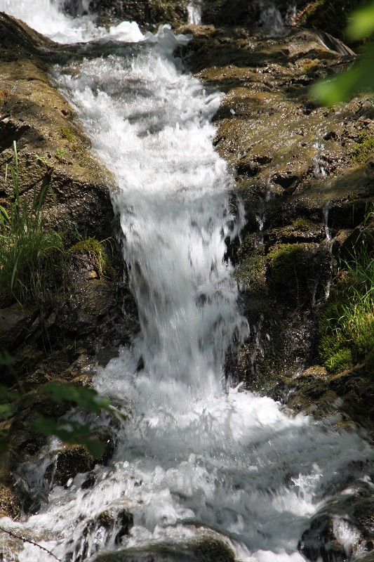 IMG_1435.jpg