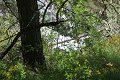 thn_IMG_1416.jpg