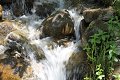 thn_IMG_1426.jpg