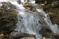 thn_IMG_1432.jpg