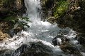 thn_IMG_1433.jpg