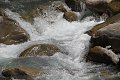 thn_IMG_1441.jpg