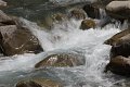 thn_IMG_1443.jpg