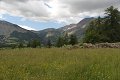 thn_IMG_1449.jpg