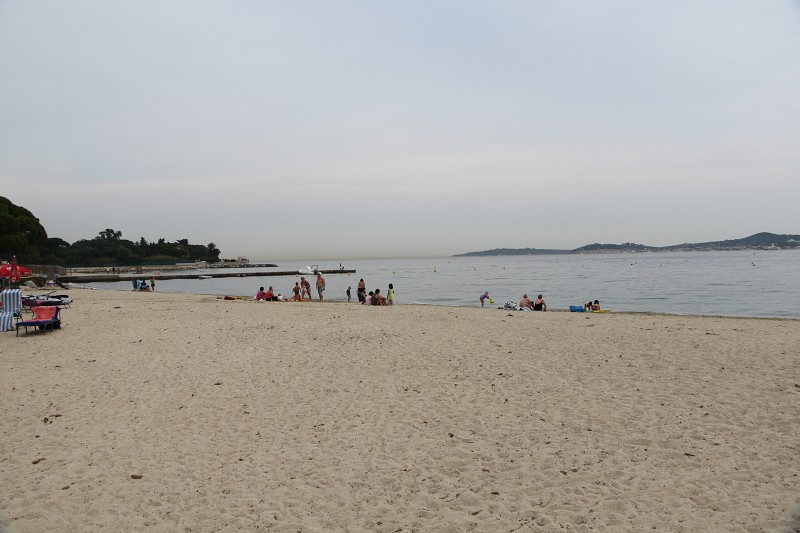 IMG_1782.jpg