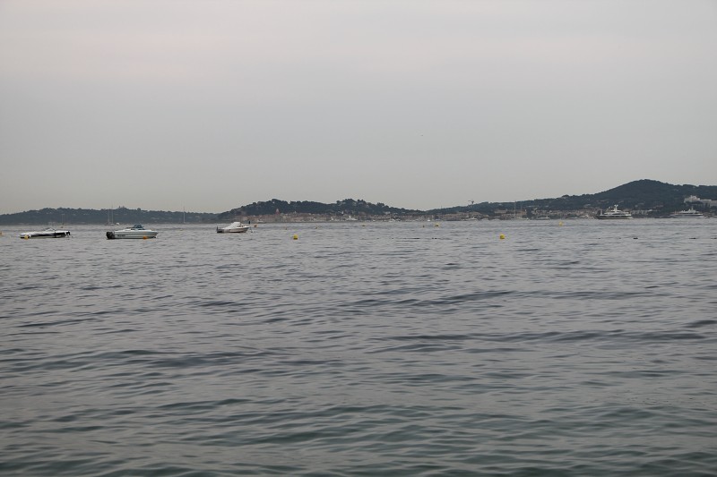 IMG_1795.jpg
