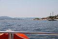 thn_IMG_1847.jpg