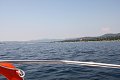 thn_IMG_1851.jpg