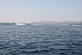 thn_IMG_1861.jpg