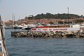 thn_IMG_1885.jpg