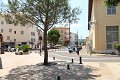 thn_IMG_1954.jpg