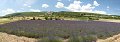 thn_IMG_2033_panorama.jpg