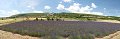 thn_IMG_2037_panorama.jpg