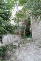 thn_IMG_2129.jpg