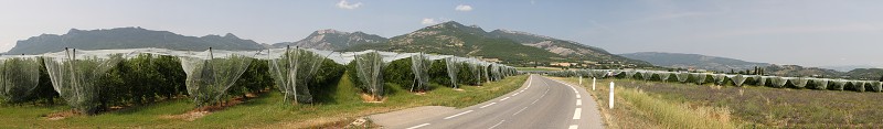 IMG_2195_panorama.jpg