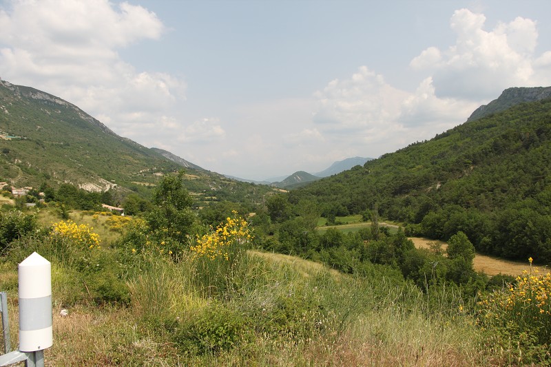 IMG_2236.jpg