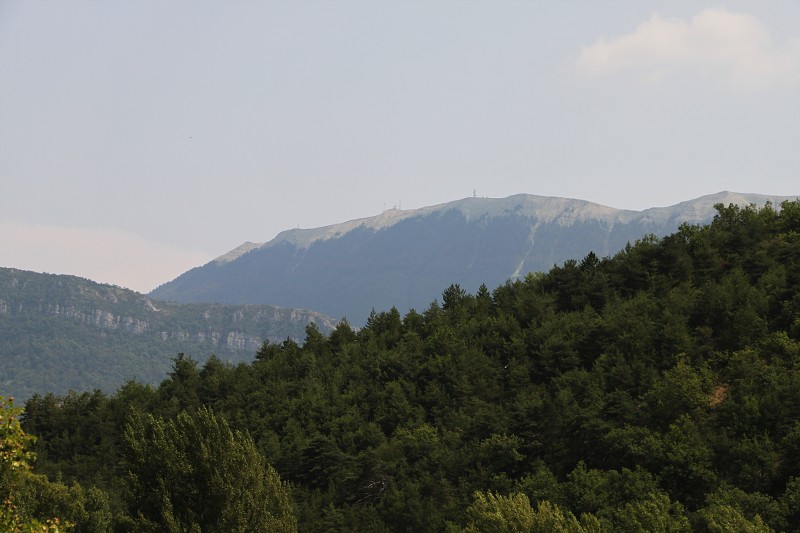 IMG_2244.jpg
