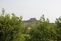 thn_IMG_2197.jpg