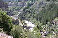 thn_IMG_2198.jpg