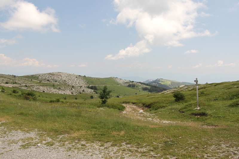 IMG_2340.jpg