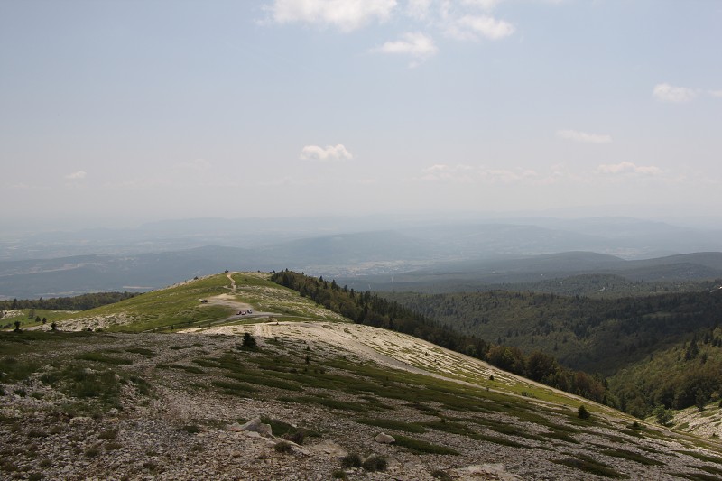 IMG_2343.jpg