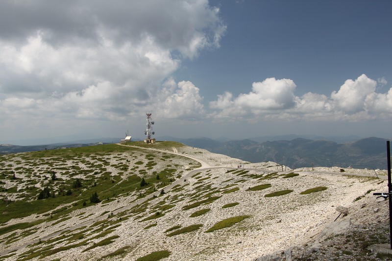 IMG_2347.jpg