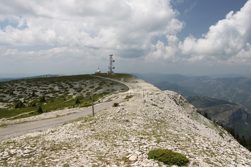 IMG_2352.jpg